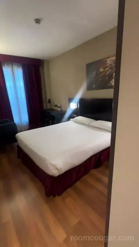 Double or Twin Room picture #22