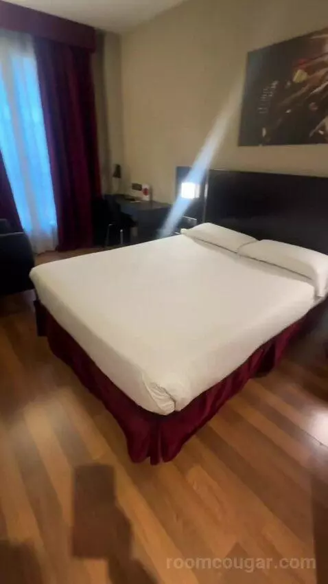 Double or Twin Room bed picture #2