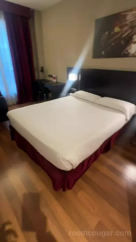 Double or Twin Room picture #5