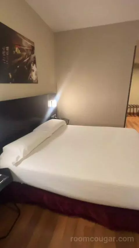 Double or Twin Room bed picture #5