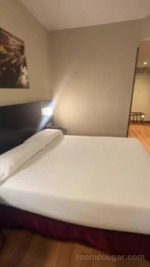 Double or Twin Room bed picture #6