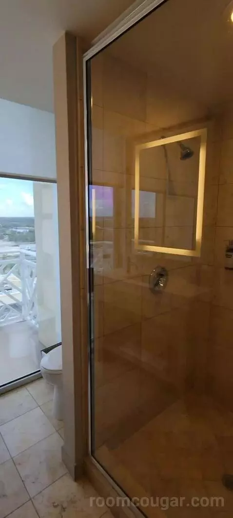 King Suite with Balcony and Bay View bathroom picture #11