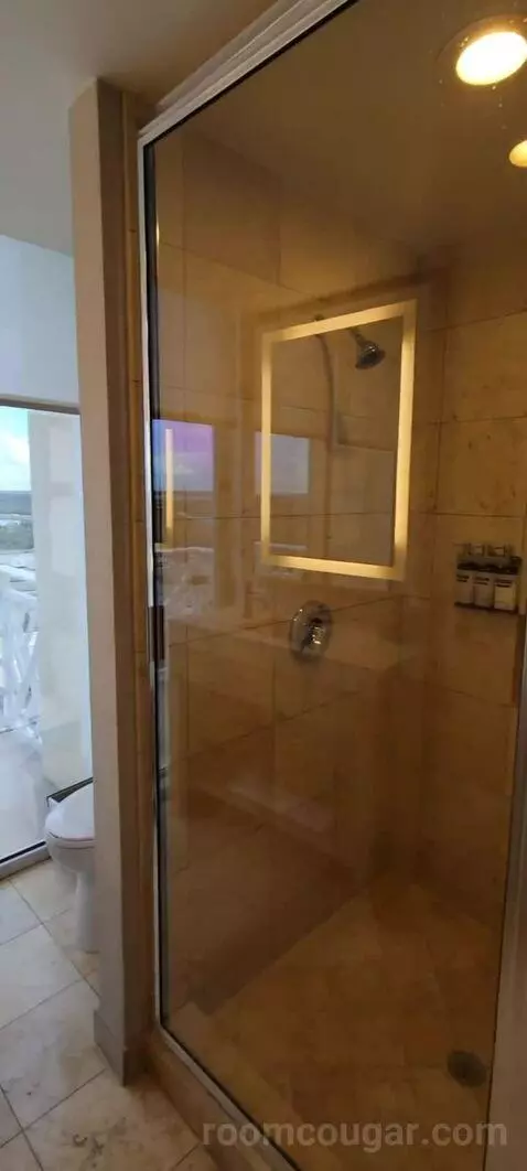 King Suite with Balcony and Bay View bathroom picture #12