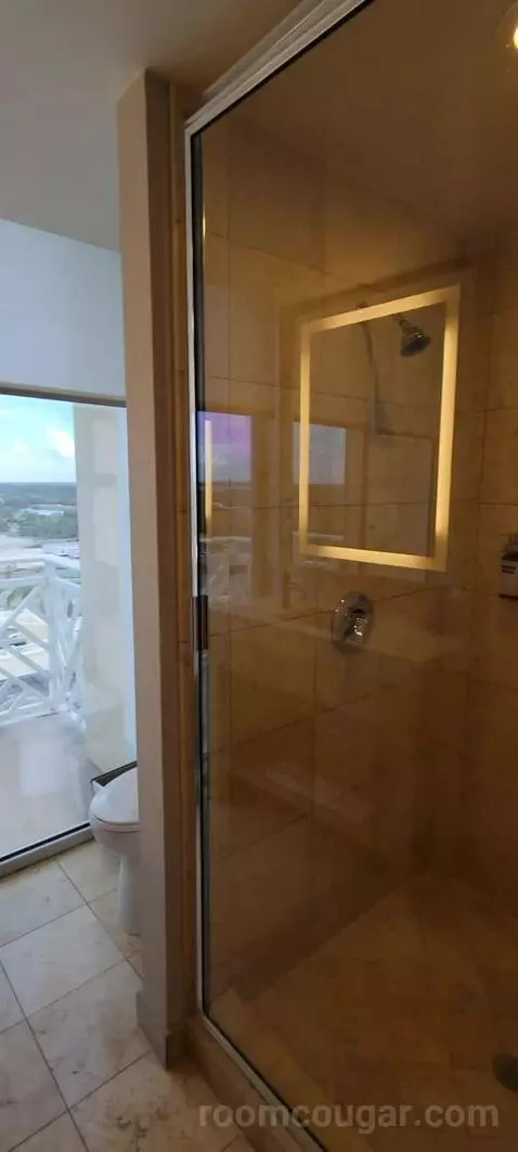 King Suite with Balcony and Bay View picture #13