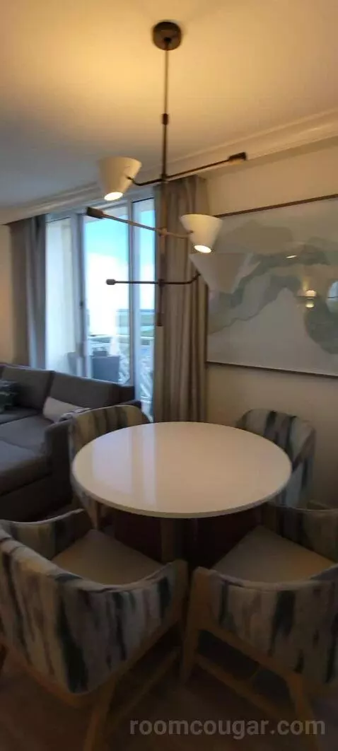 King Suite with Balcony and Bay View picture #16
