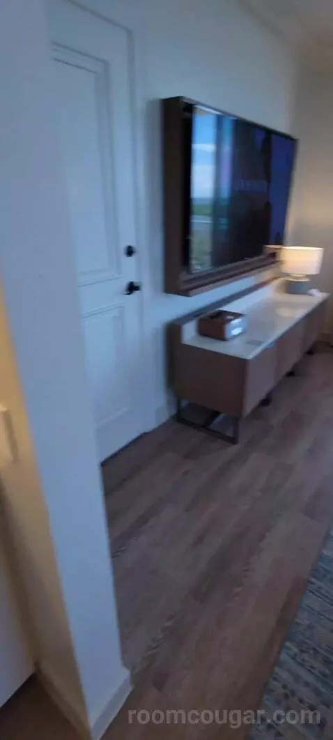 King Suite with Balcony and Bay View picture #18