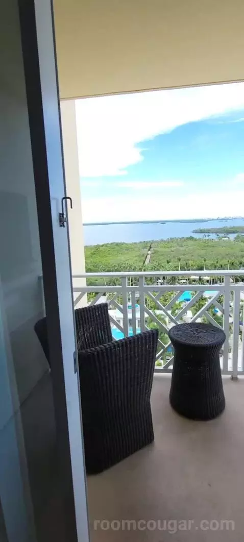 King Suite with Balcony and Bay View view picture #6