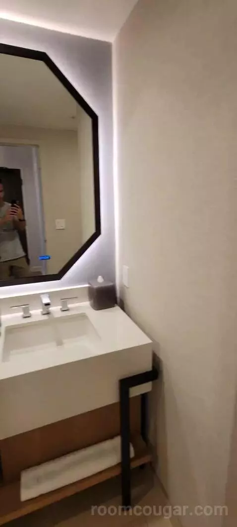 King Suite with Balcony and Bay View bathroom picture #4