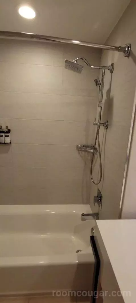 King Suite with Balcony and Bay View bathroom picture #7