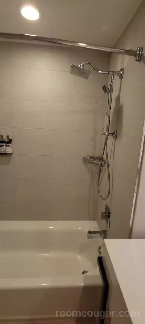 King Suite with Balcony and Bay View bathroom picture #8