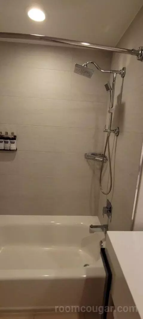 King Suite with Balcony and Bay View bathroom picture #9