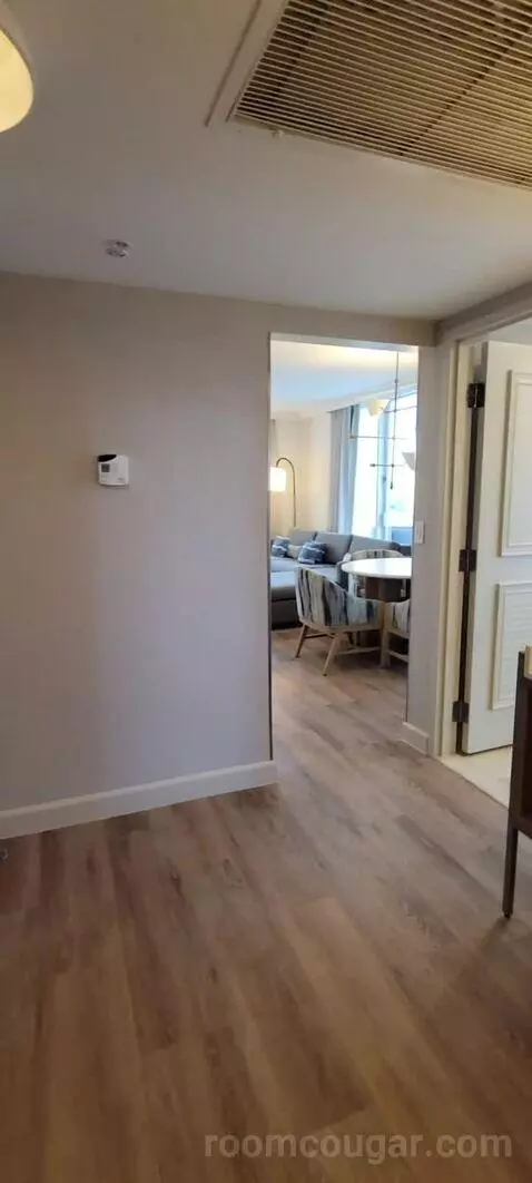 King Suite with Balcony and Bay View picture #10
