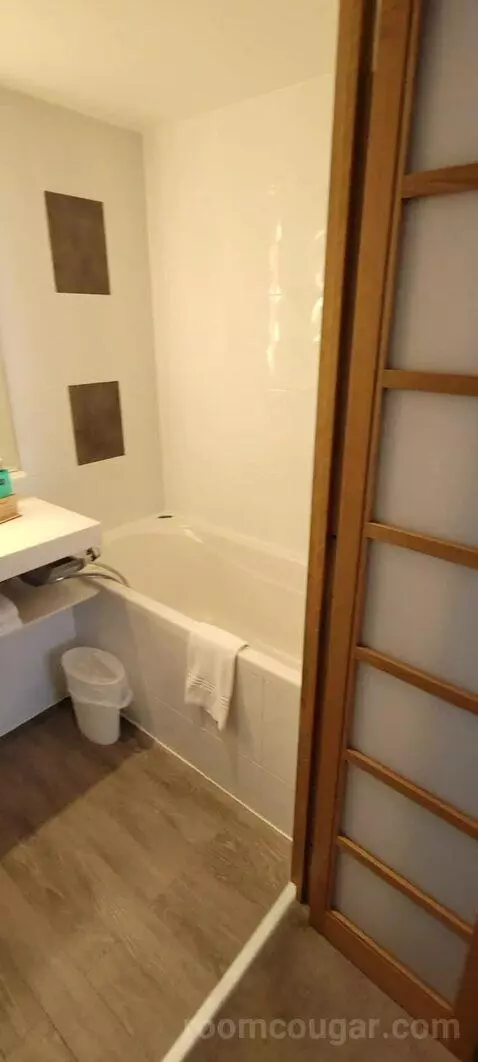 Superior Double Room picture #11