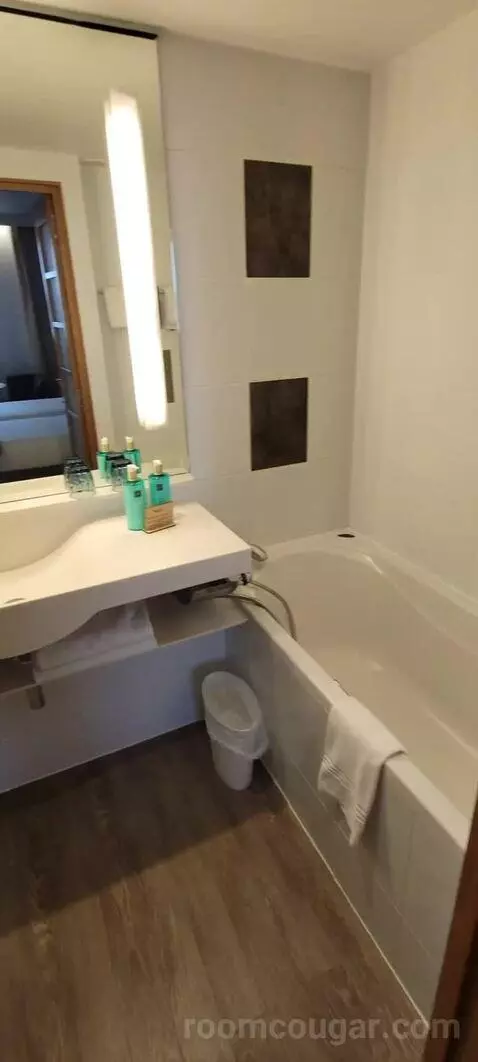 Superior Double Room bathroom picture #7