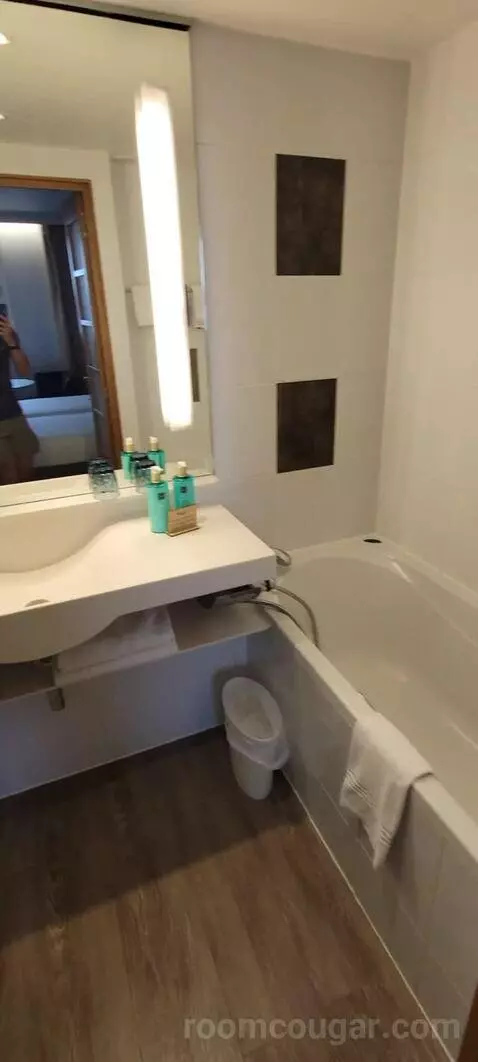 Superior Double Room picture #12