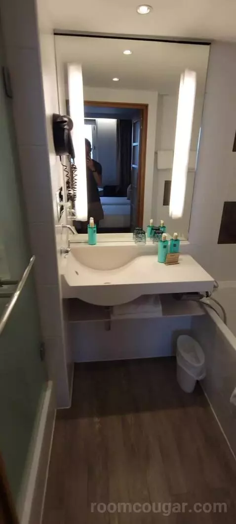 Superior Double Room picture #13