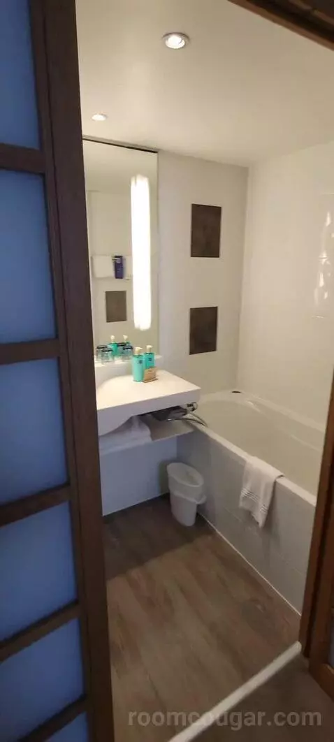 Superior Double Room bathroom picture #12