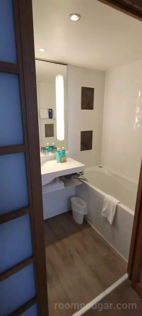 Superior Double Room picture #14