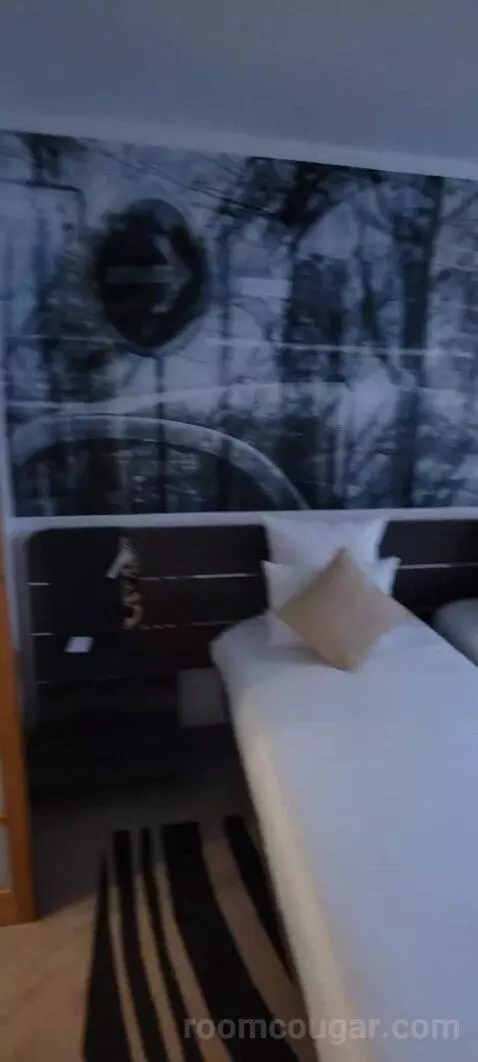 Superior Double Room bed picture #9