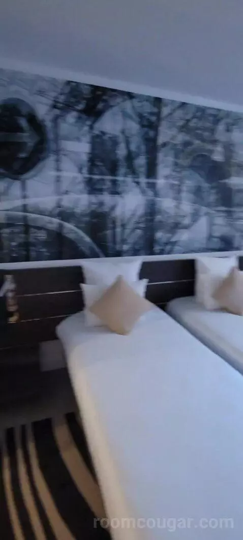 Superior Double Room picture #15