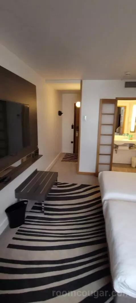 Superior Double Room picture #24