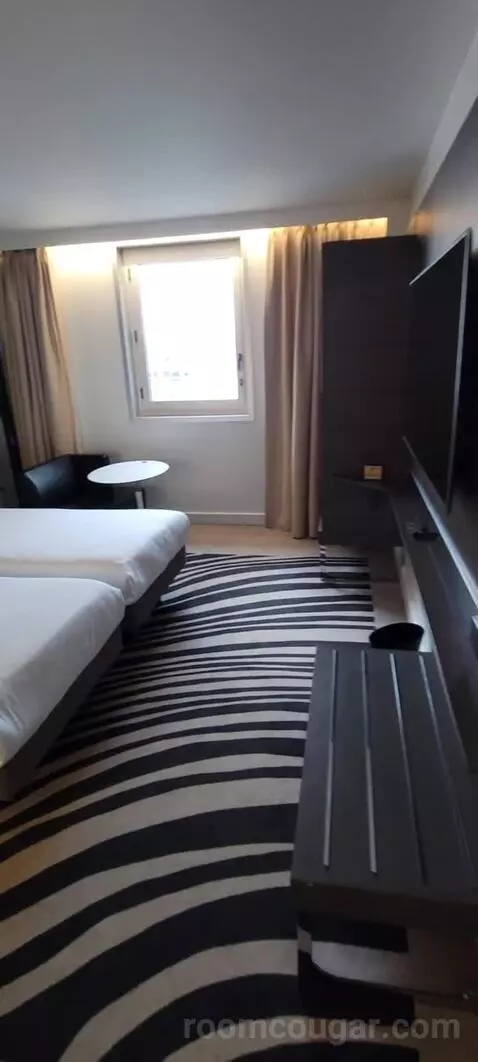 Superior Double Room picture #8
