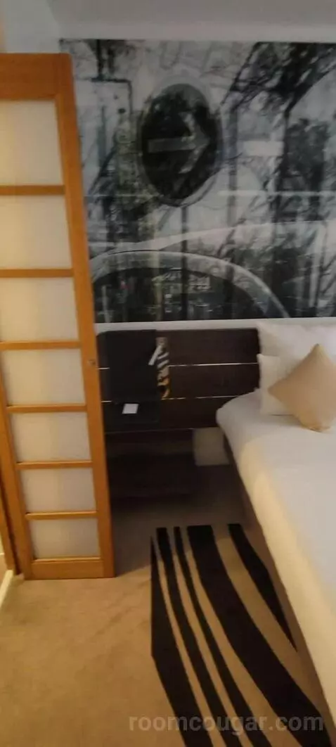 Superior Double Room picture #10