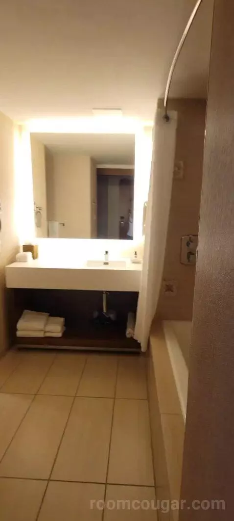 Double Room with Two Double Beds and Lake View bathroom picture #1