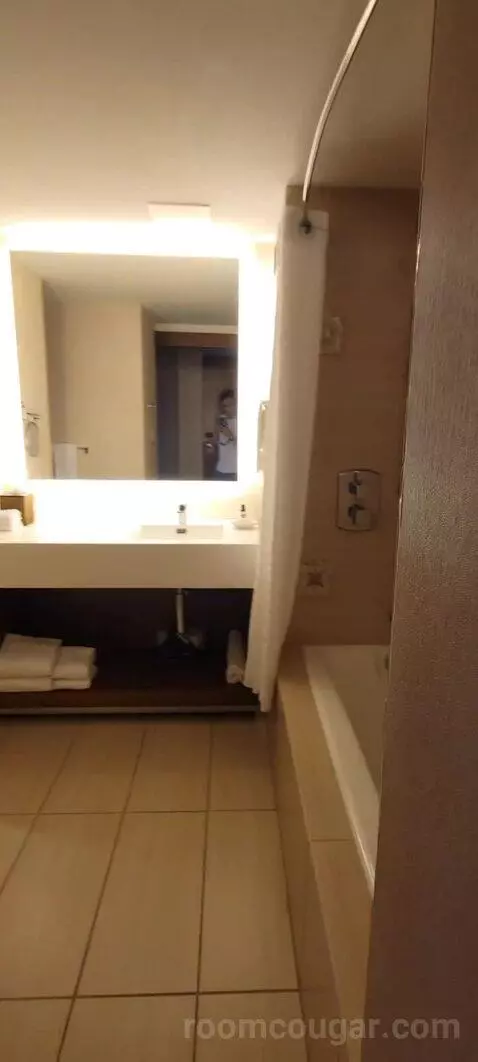 Double Room with Two Double Beds and Lake View bathroom picture #2