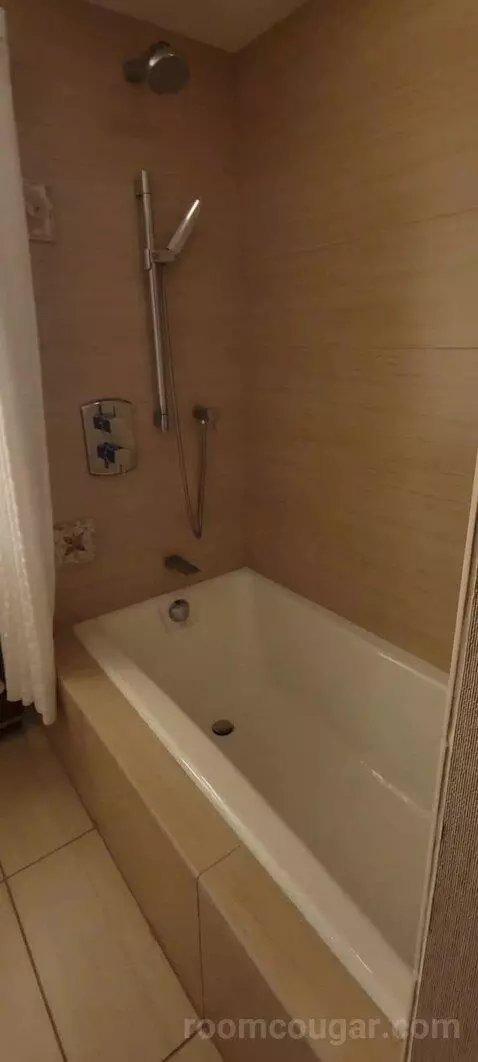 Double Room with Two Double Beds and Lake View bathroom picture #3