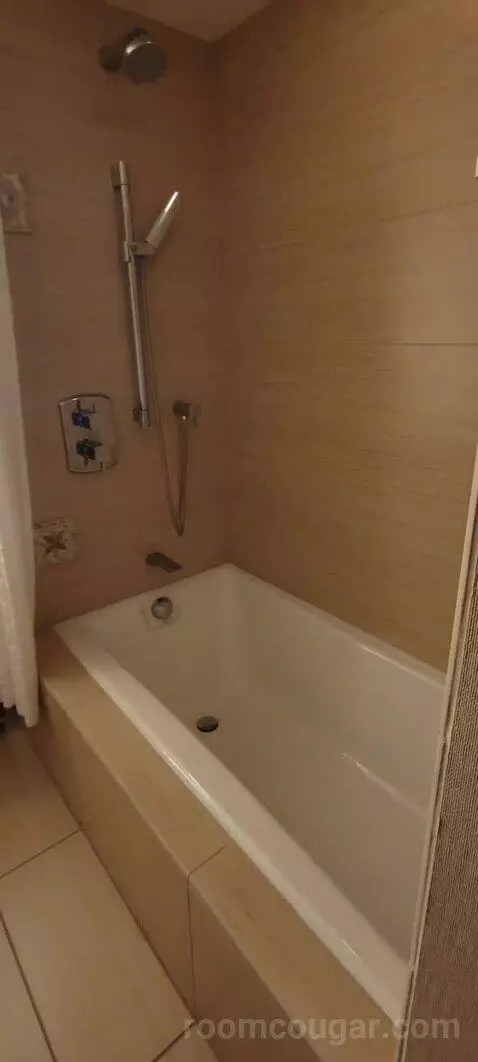 Double Room with Two Double Beds and Lake View bathroom picture #4