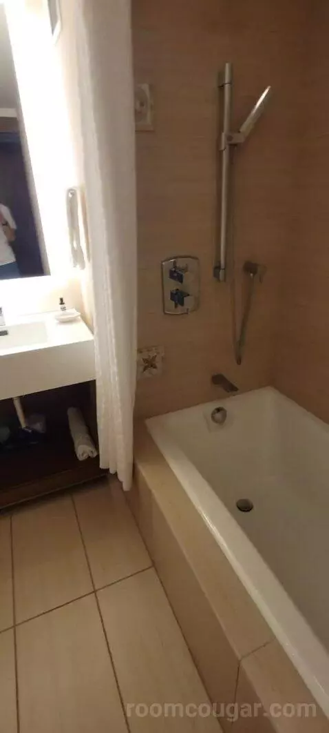 Double Room with Two Double Beds and Lake View bathroom picture #5