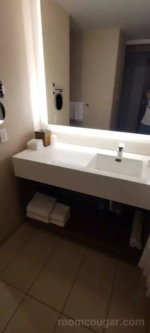 Double Room with Two Double Beds and Lake View bathroom picture #8
