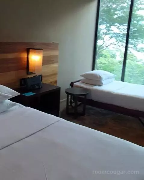 King Room with Partial Bay View bed picture #5