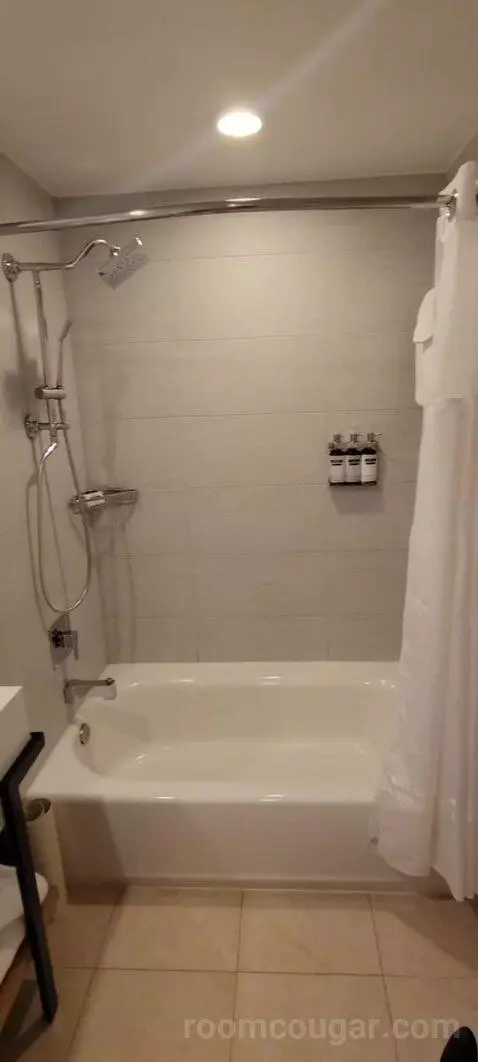 Queen Room with Two Queen Beds and Balcony bathroom picture #8