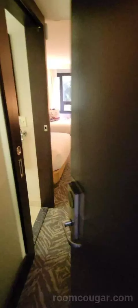 Room with Two Double Beds bed picture #1