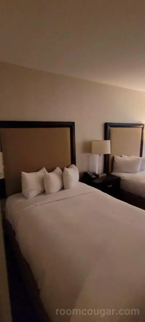 Room with Two Double Beds bed picture #9
