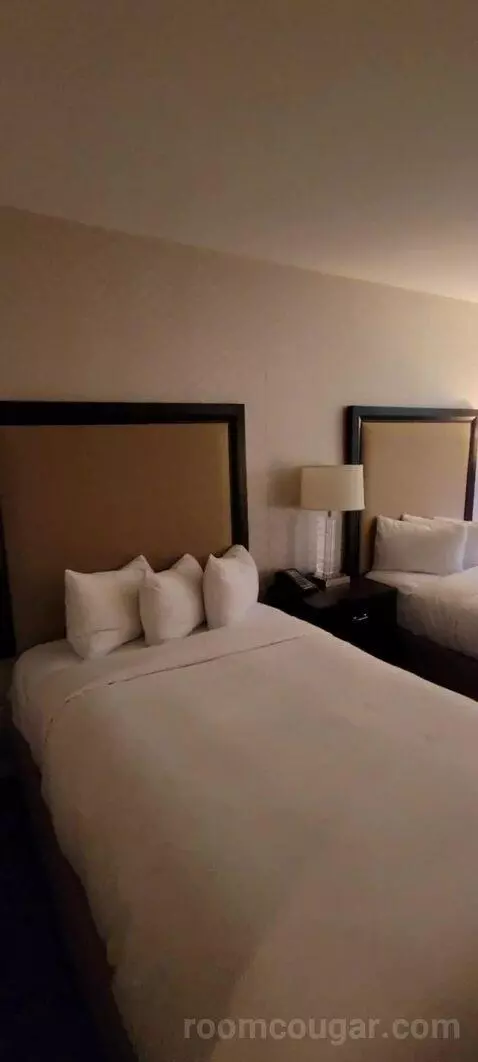 Room with Two Double Beds bed picture #10