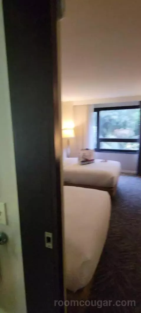 Room with Two Double Beds bed picture #5