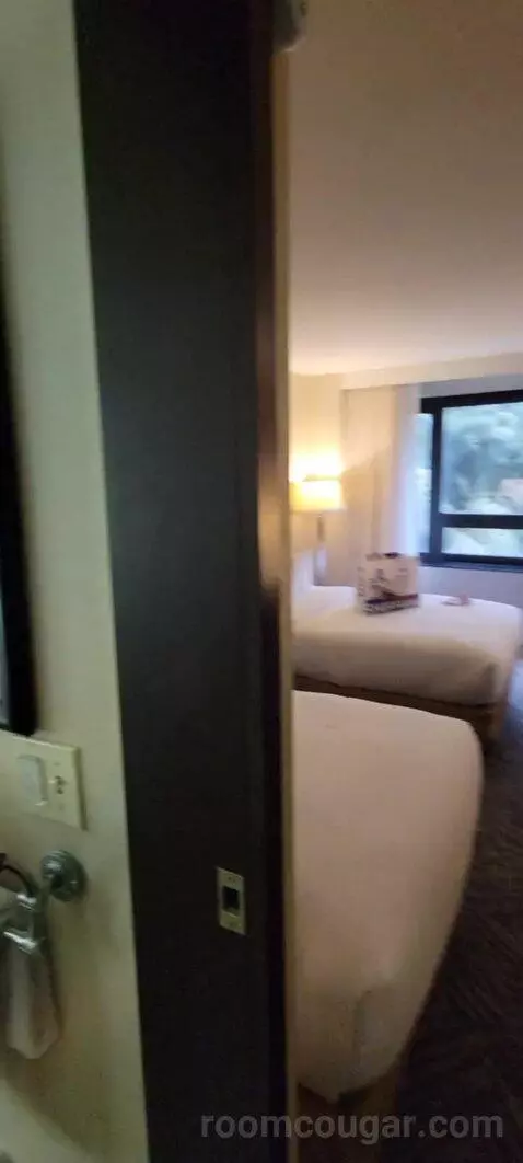 Room with Two Double Beds bed picture #6