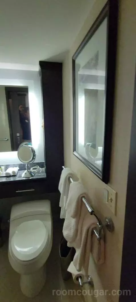 Room with Two Double Beds bathroom picture #1