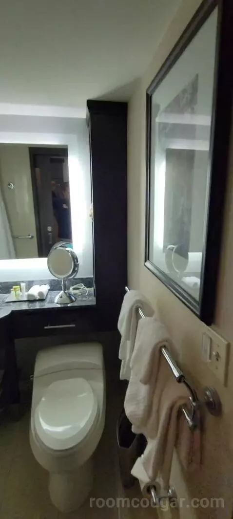 Room with Two Double Beds bathroom picture #2