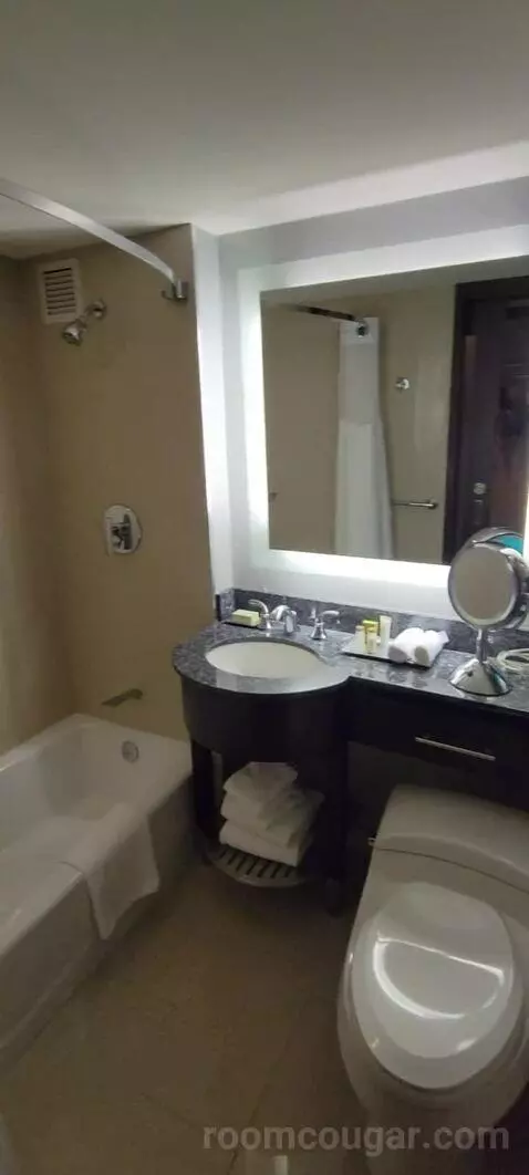 Room with Two Double Beds bathroom picture #4