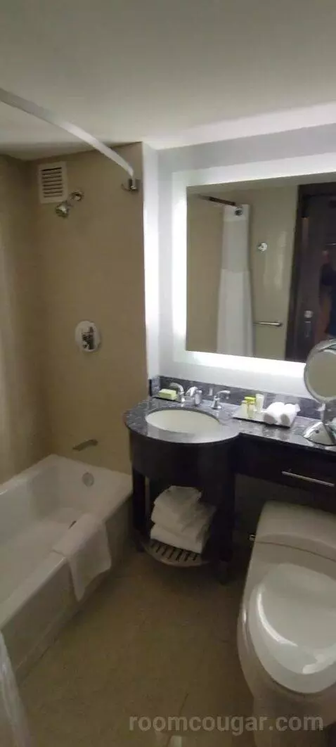 Room with Two Double Beds bathroom picture #7