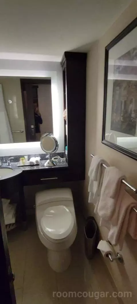 Room with Two Double Beds bathroom picture #9