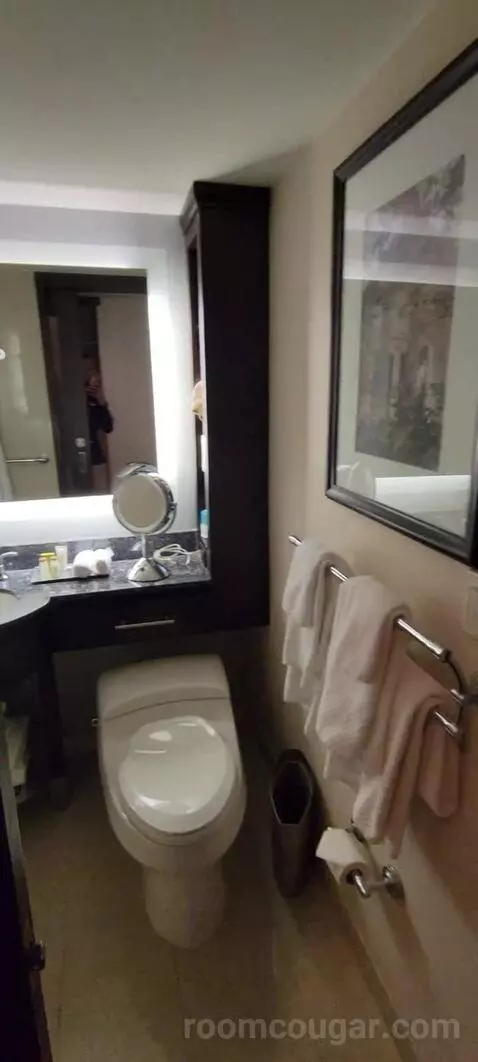 Room with Two Double Beds bathroom picture #10