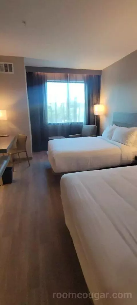 Guest Room, 2 Queen view picture #2