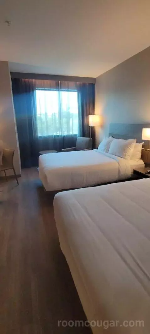 Guest Room, 2 Queen view picture #5