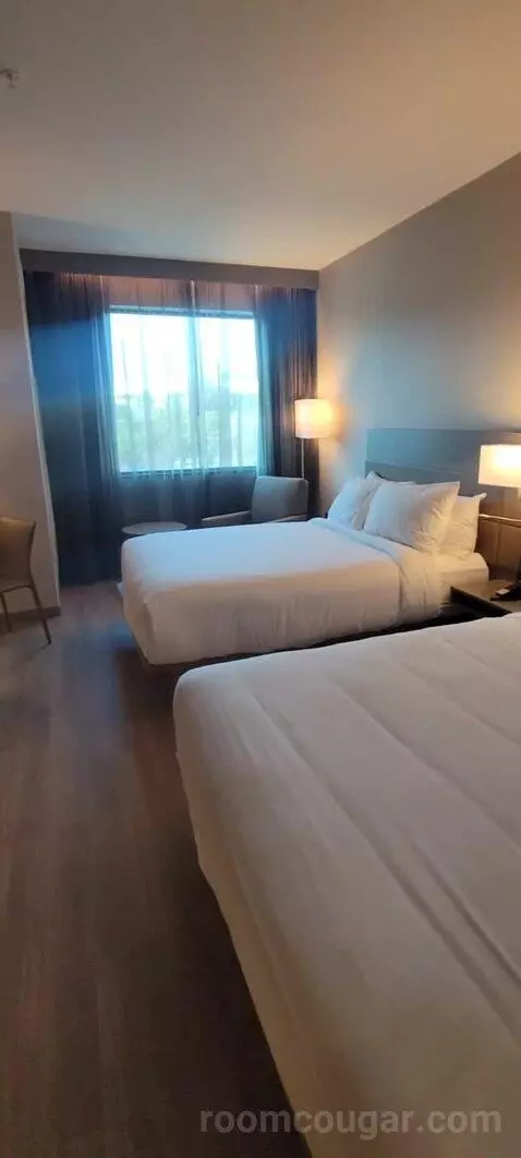 Guest Room, 2 Queen view picture #6