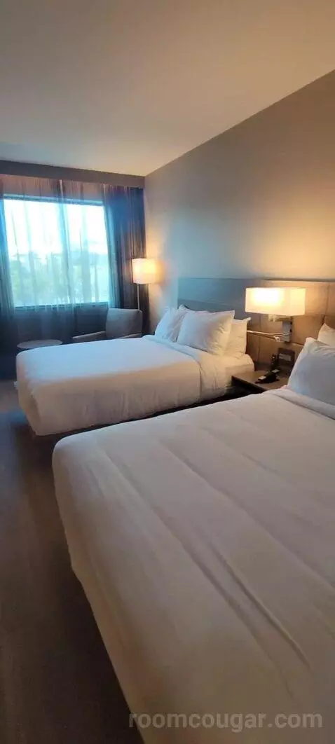 Guest Room, 2 Queen view picture #10
